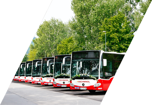 Busfahrer Linienbus
